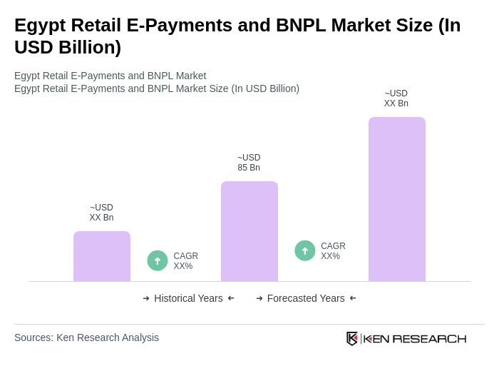 Egypt Retail E-Payments and BNPL Market Size